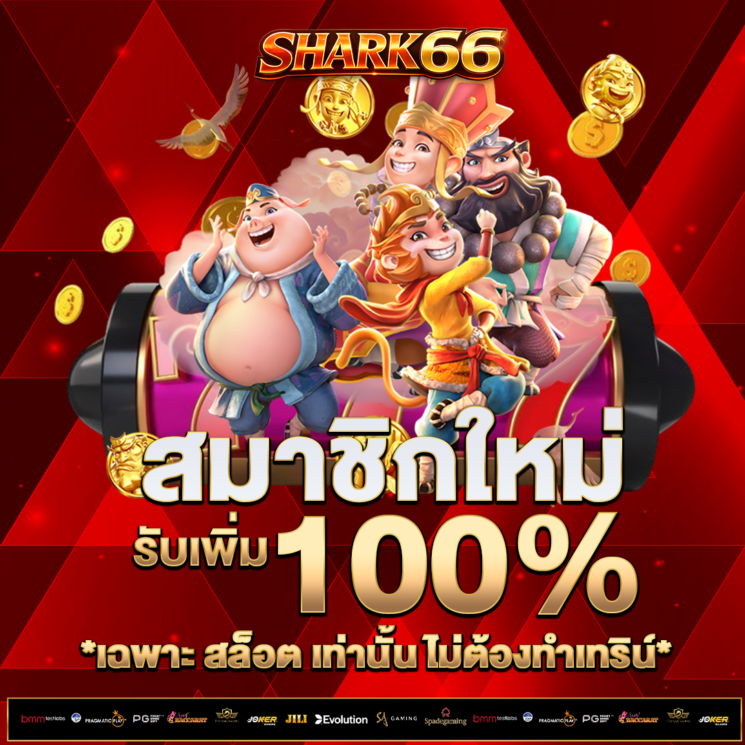 สมาชิกใหม่